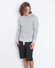 Sweaters - Grijze sweater met pijltjesprint