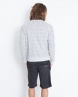 Sweats - Grijze sweater met pijltjesprint