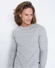 Sweaters - Grijze sweater met pijltjesprint