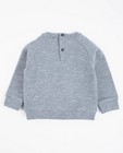 Sweats - Donkerblauwe trui met muizenprint