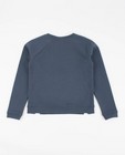 Sweats - Sweater met stippen Ketnet