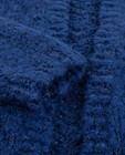 Cardigan - Koningsblauw gebreid vest