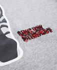 T-shirts - Grijs T-shirt met print + pailletten