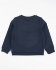 Sweaters - Grijze sweater met glitter BESTies