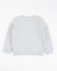 Sweats - Grijze sweater met glitter BESTies