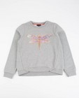 Baksteenrode sweater met libelle - null - JBC