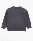 Sweaters - Donkergrijze sweater met patch