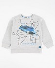 Sweaters - Lichtgrijze sweater met print Rox