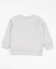 Sweats - Lichtgrijze sweater met print Rox