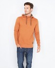 Sweaters - Roestbruine hoodie 