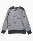 Grijze sweater met print BESTies - null - JBC