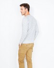 Sweats - Lichtgrijze sweater met fijne print