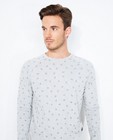 Sweaters - Lichtgrijze sweater met fijne print