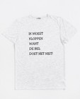 T-shirts - Lichtgrijs T-shirt Samson Vintage