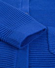 Cardigans - Marineblauwe geribde cardigan Kaatje
