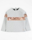 Lichtgrijze sweater met pailletten - null - Groggy