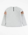 Sweats - Lichtgrijze sweater met pailletten