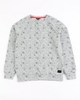 Grijze sweater met vlekkenprint - null - JBC