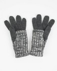 Fijngebreide handschoenen - in grijs-wit - JBC