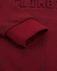 Sweaters - Bordeauxrode sweater met print 