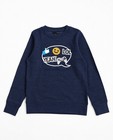 Sweaters - Blauwgrijze sweater met print