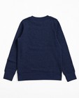 Sweaters - Blauwgrijze sweater met print