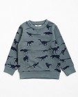 Sweats - Kaki sweater met dinoprint BESTies