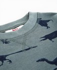 Sweats - Kaki sweater met dinoprint BESTies