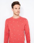 Sweaters - Rode sweater met bladerprint