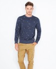 Sweaters - Blauwgrijze sweater met vogelprint