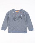 Sweaters - Sweater met metaaldraad Kaatje