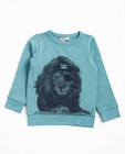 Sweaters - Teal trui met leeuwenprint BESTies