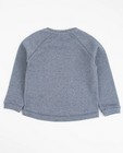 Sweats - Lichtrode sweater met metaaldraad