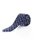 Cravate en soie bleue - avec imprimé libellule - Iveo