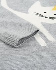 Truien - Grijze trui met een kat