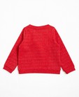 Sweats - Rode sweater met print Samson