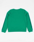 Sweats - Groene sweater met pailletten Ketnet