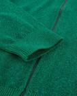 Cardigan - Groen vest met glitter Ketnet