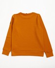Sweaters - Roestbruine sweater met print I AM