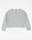 Sweaters - Grijze sweater met tweedelige look