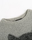 Truien - Grijze trui met harige print