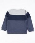 Sweats - Color block sweater met print Rox