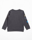 Sweaters - Donkergrijze sweater met print Rox