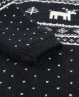 Truien - Gebreide trui met kerstprint