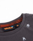 T-shirts - Bruine longsleeve met print Wickie