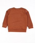 Sweats - Bruine sweater met patch Wickie