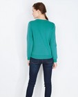 Sweaters - Turquoise sweater met pailleten