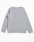 Sweats - Sweater met pettenprint BESTies