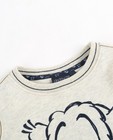 Sweaters - Lichtgrijze sweater met print Samson