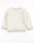 Sweats - Lichtgrijze sweater met print Samson